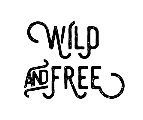 Wild Free font preview in the Word Swag app